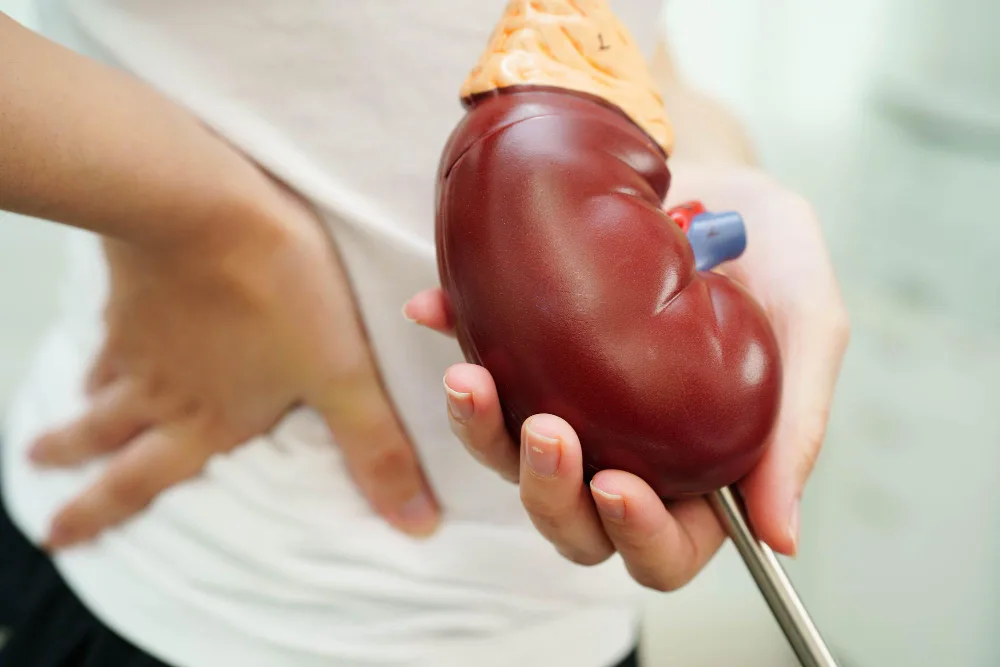 Trasplante renal